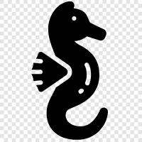 seahorse, aquatic, fish, marine icon svg