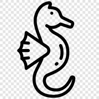 seahorse, fish, aquarium, marine icon svg