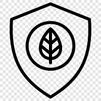 Security, Shielding, Security Shield, Shielding Solutions icon svg