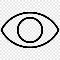 see, observe, detect, notice icon svg