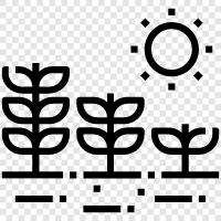 seed growing, seed starting, seed growing tips, seed growing equipment icon svg