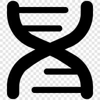 sequencing, genetics, mutation, chromosome icon svg