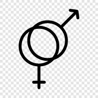 Geschlechtsunterschiede, Geschlecht, Sexualität, sexuelle Orientierung symbol