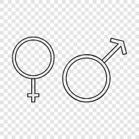 Sex, Sexuality, Gender, Male and Female icon svg