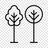 shade, leaves, branches, bark icon svg