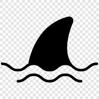 Shark Fin Soup icon