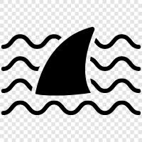 Shark Fin Soup icon