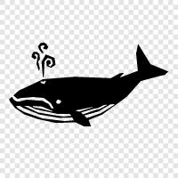 Sharks, Cetaceans, Killer Whales, Orcas icon svg