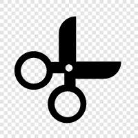 shears, cutting, fabric, thread icon svg