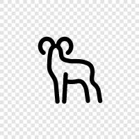 sheep, horn, antelope, animal icon svg