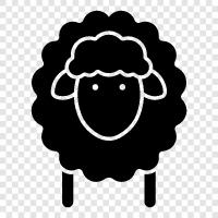 koyun yetiştiriciliği, wool, fleece, lamb ikon svg