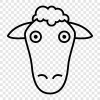 sheep head cheese, sheep head soup, sheep head stew, Sheep Head icon svg