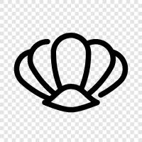 Muscheln, Weichtiere, Kopffüßer symbol