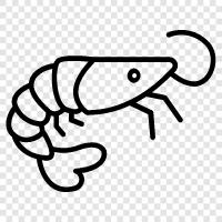 Shrimp Fishing icon