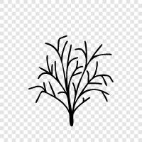 shrubbery, evergreen, deciduous, leaf icon svg