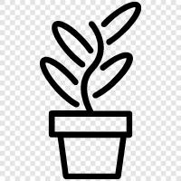 shrubs, bushes, small trees, flowering plants icon svg