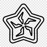 shuriken, star, ninja, weapon icon svg