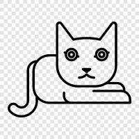 Siamese, House cat, pet cat, feline icon svg