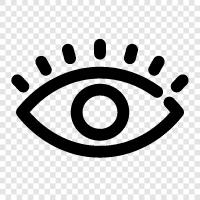 sight, vision, pupils, optics icon svg