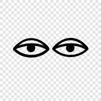 sight, vision, eyeballs, how your eyes work icon svg