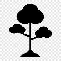 simple tree diagram, simple tree diagram example, simple tree diagram template, simple icon svg