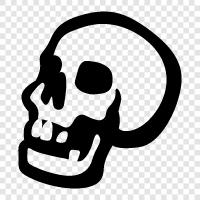 skull, anatomy, human skeleton, skeleton icon svg