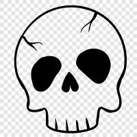 skull, skull pictures, pictures of skulls, death icon svg