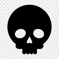 skull, brain, head, skullcap icon svg