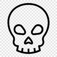 skull, skull carving, skull decoration, skull art icon svg