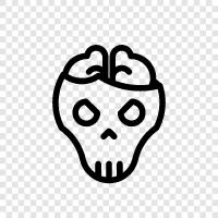 skull, brain, human brain, cognitive neuroscience icon svg