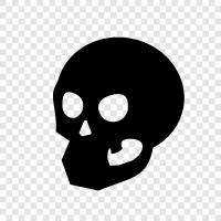 skull, skull decoration, skull jewelry, skull tattoo icon svg