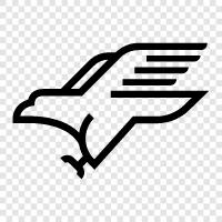 sky, flying, soaring, bird icon svg