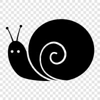 slimy, slimy creature, slimy snail, snail icon svg