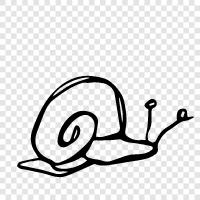 Slippery, Soft, Crawling, Snail ikon svg