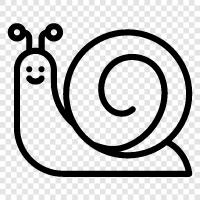 slither, crawl, spiral, pace ikon svg