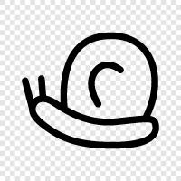 slithering, inchworm, gastropod, slow icon svg