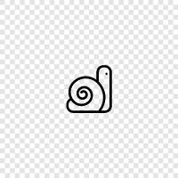 slugs, gastropods, mollusks, Snail icon svg