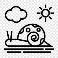 slugs, pests, slimy, slimy snail icon svg