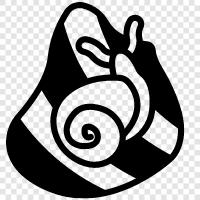slugs, gastropods, snail, gastropod icon svg