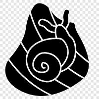 slugs, mollusks, snail mail, snail mail delivery icon svg