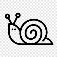 Slugs, Mollusks, Gastropods, Cephal icon svg