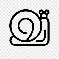 Slugs icon