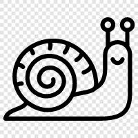 slugs, snail mail, snail mail delivery, snail mail delivery time icon svg