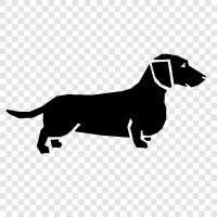 small dog, hound dog, sausage dog, wiener dog icon svg