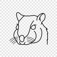 small rodent, pet, house, care icon svg