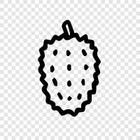 smell, fruit, delicious, spiciness icon svg