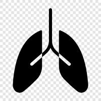 smoking, cancer, asthma, COPD icon svg