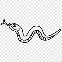 Snake Oil, Python, Snake Charmer, Snake Handler ikon svg