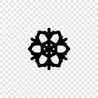 snow, winter holidays, Christmas, New Year icon svg