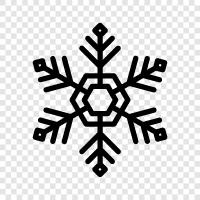 Snowflake Pattern, Swirl, Circle, Unique icon svg